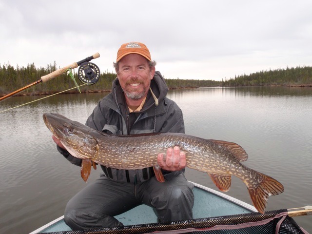 Fly Fishing Northern Pike - Go Fishing Canada