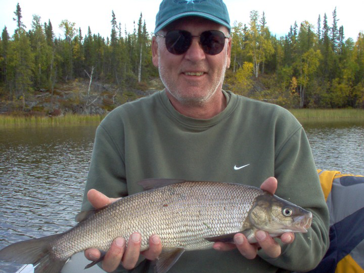 Canada Whitefish Fishing - Go Fishing Canada